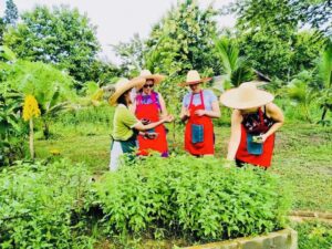 Thai Farm Cooking School